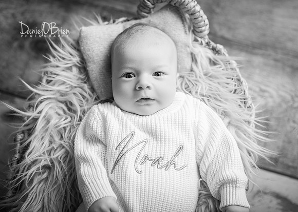 Noah 3006040