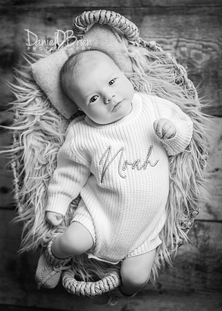 Noah 3012042