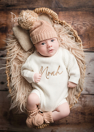 Noah 3014045