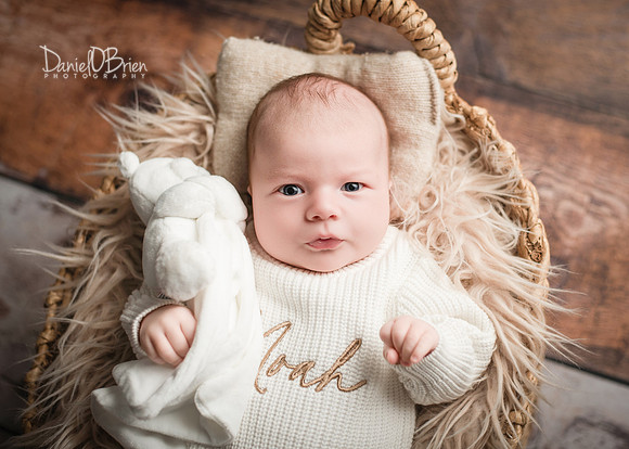 Noah 3023049