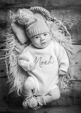 Noah 3014046
