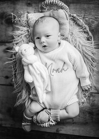 Noah 3018048