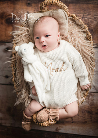Noah 3018047