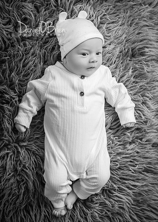 Noah 3042056