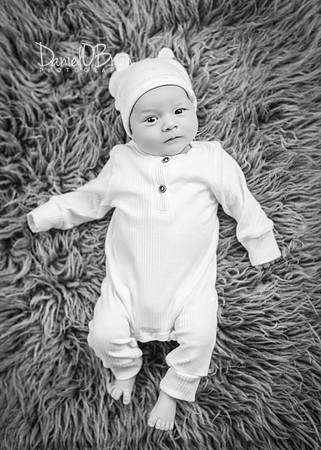 Noah 3049060
