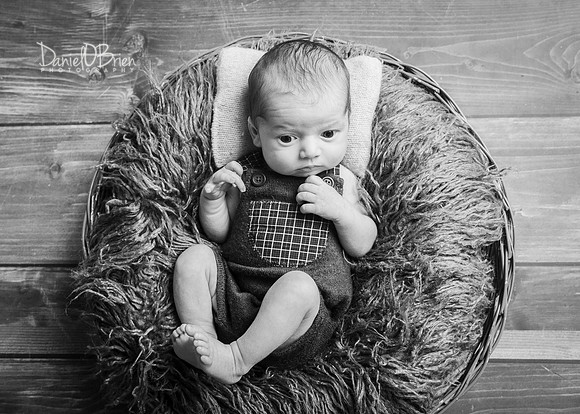 Tadhg 3339024