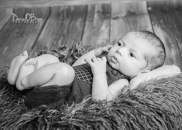 Tadhg 3352030