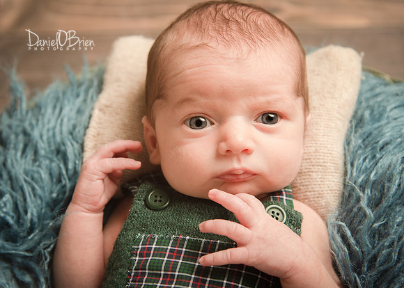 Tadhg 3334021