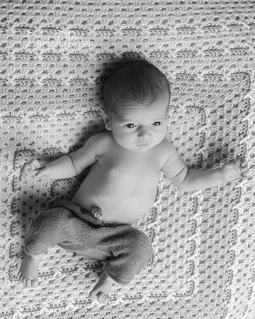 Tadhg 3378048