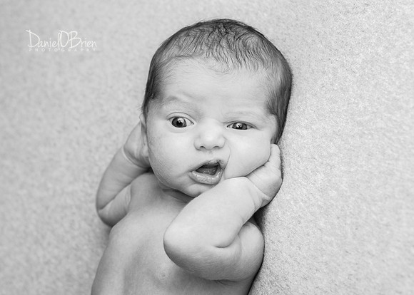 Tadhg 3316014