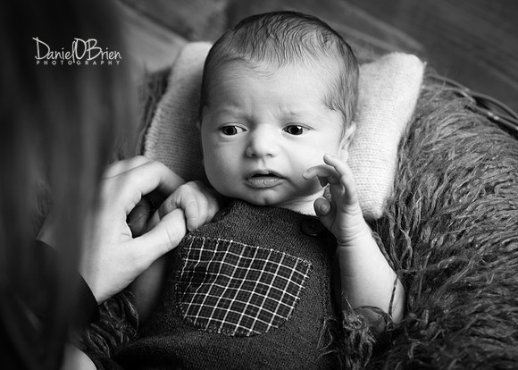 Tadhg 3368040