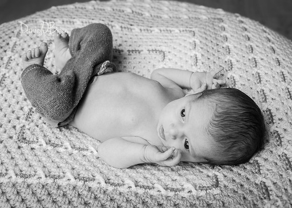 Tadhg 3384052