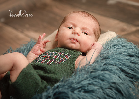 Tadhg 3360033