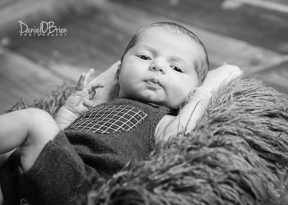 Tadhg 3360034