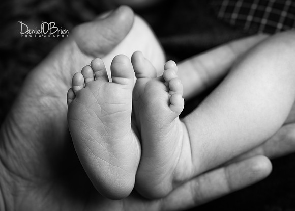 Tadhg 3363036