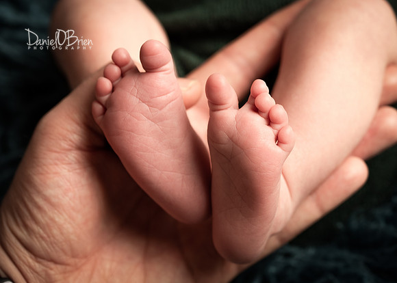 Tadhg 3366037