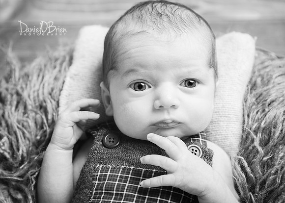 Tadhg 3334022