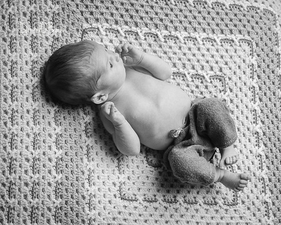 Tadhg 3381050