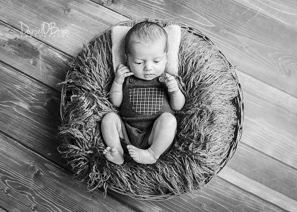 Tadhg 3345028