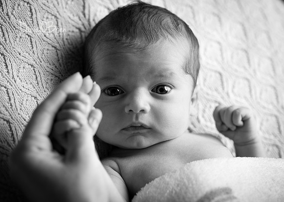 Tadhg 3374044