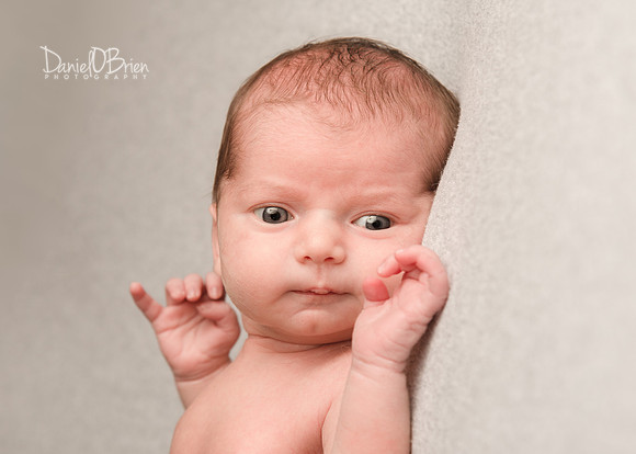 Tadhg 3324017