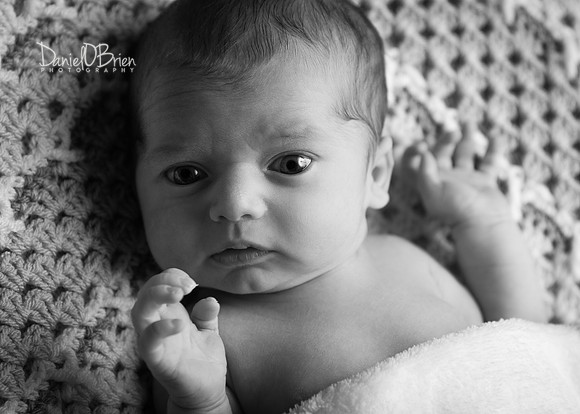 Tadhg 3375046