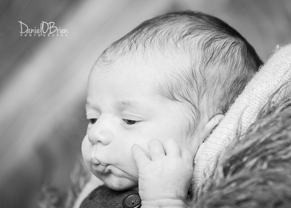 Tadhg 3357032