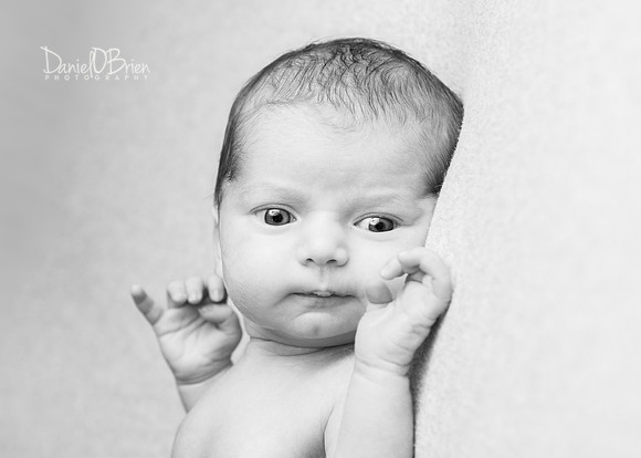 Tadhg 3324018