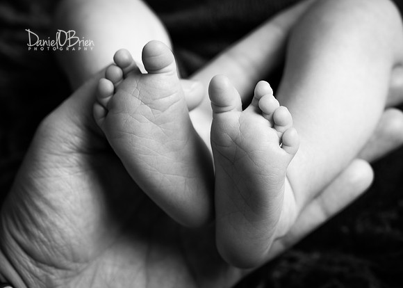 Tadhg 3366038