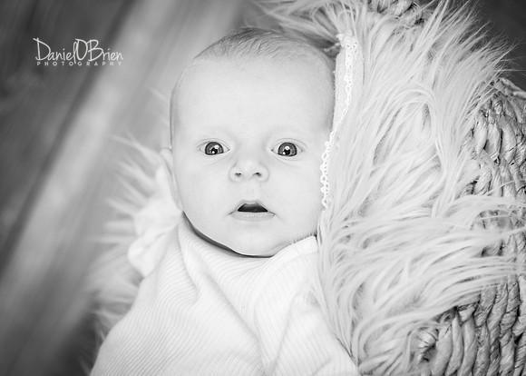 Aoife 3056036