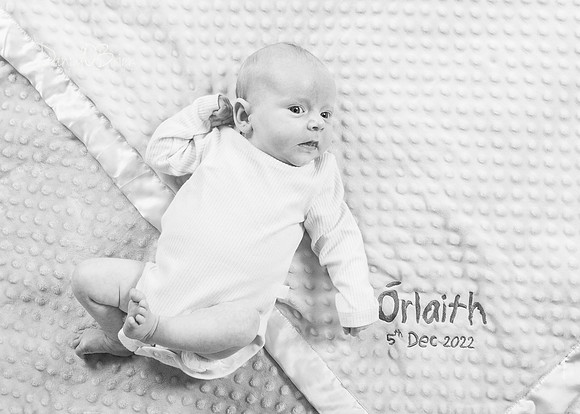 Aoife 3040022