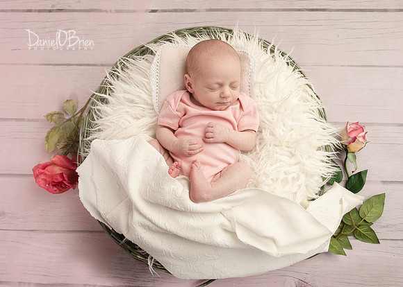 Molly 0850037