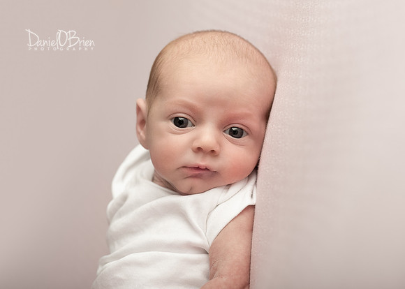 Molly 0753003
