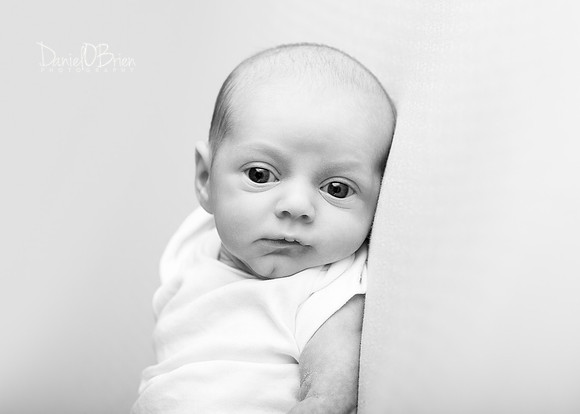 Molly 0753004