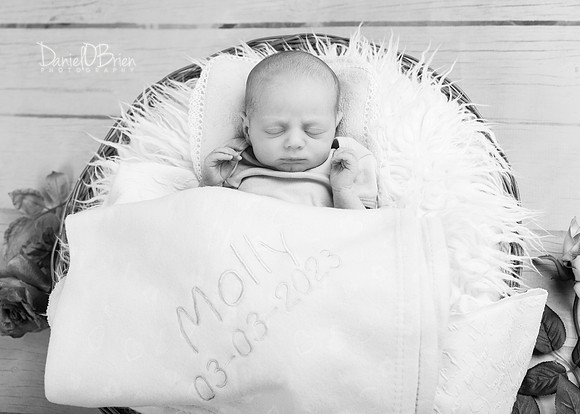 Molly 0841032