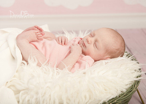 Molly 0862043