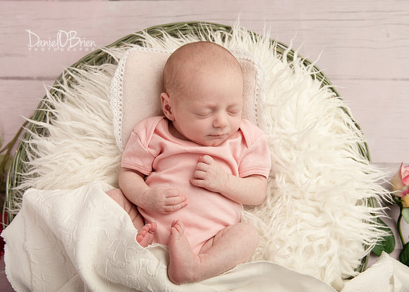 Molly 0851039