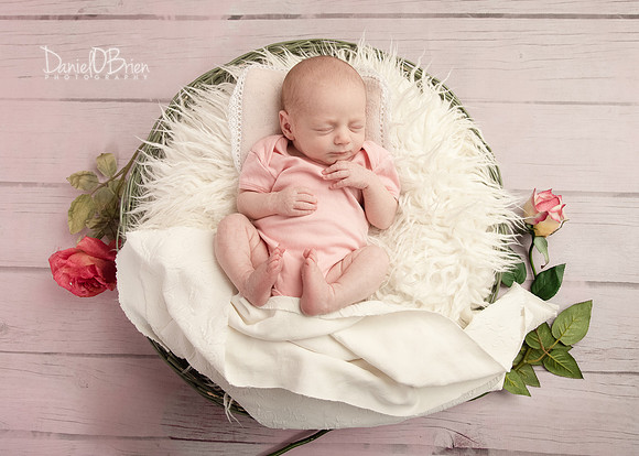 Molly 0859041