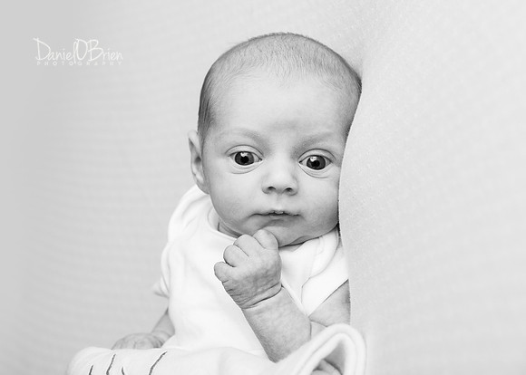 Molly 0759006