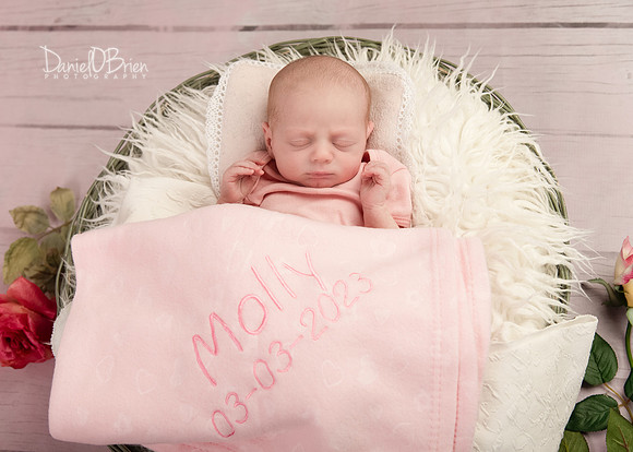 Molly 0841031