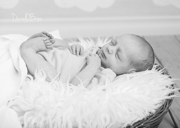 Molly 0862044