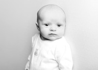 Molly 3209004