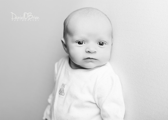Molly 3209004