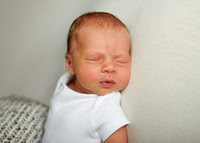 Lylah 4458003