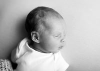 Lylah 4455002