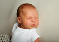 Lylah 4463007