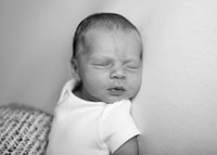 Lylah 4458004