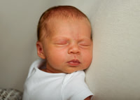 Lylah 4465009