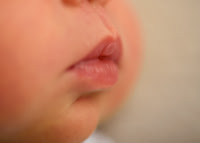 Lylah 4474015