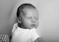 Lylah 4463008